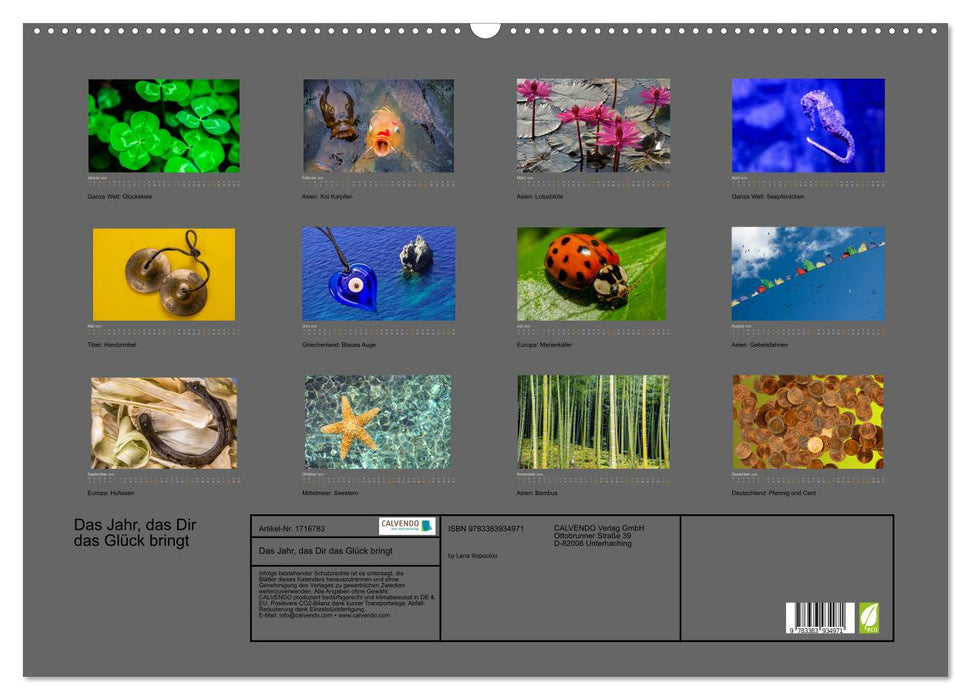 Das Jahr, das Dir das Glück bringt (CALVENDO Wandkalender 2025)