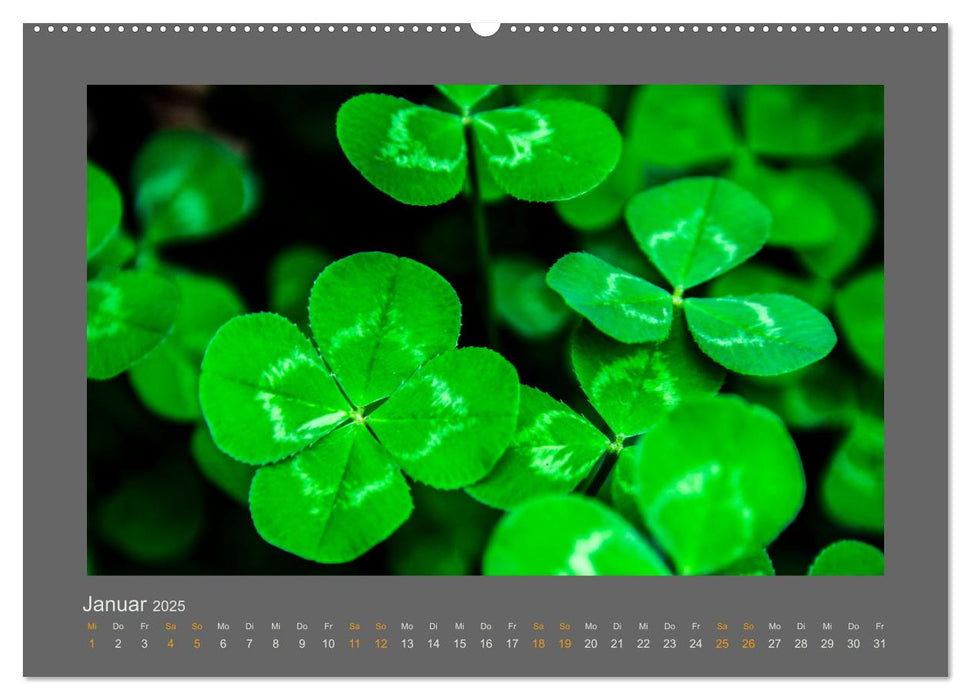 Das Jahr, das Dir das Glück bringt (CALVENDO Wandkalender 2025)