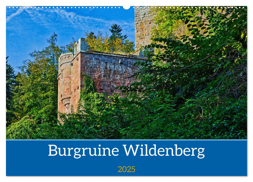 Burg Wildenberg (CALVENDO Wandkalender 2025)