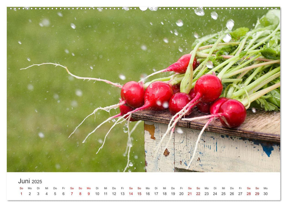 Frisches aus dem Gemüsegarten (CALVENDO Premium Wandkalender 2025)