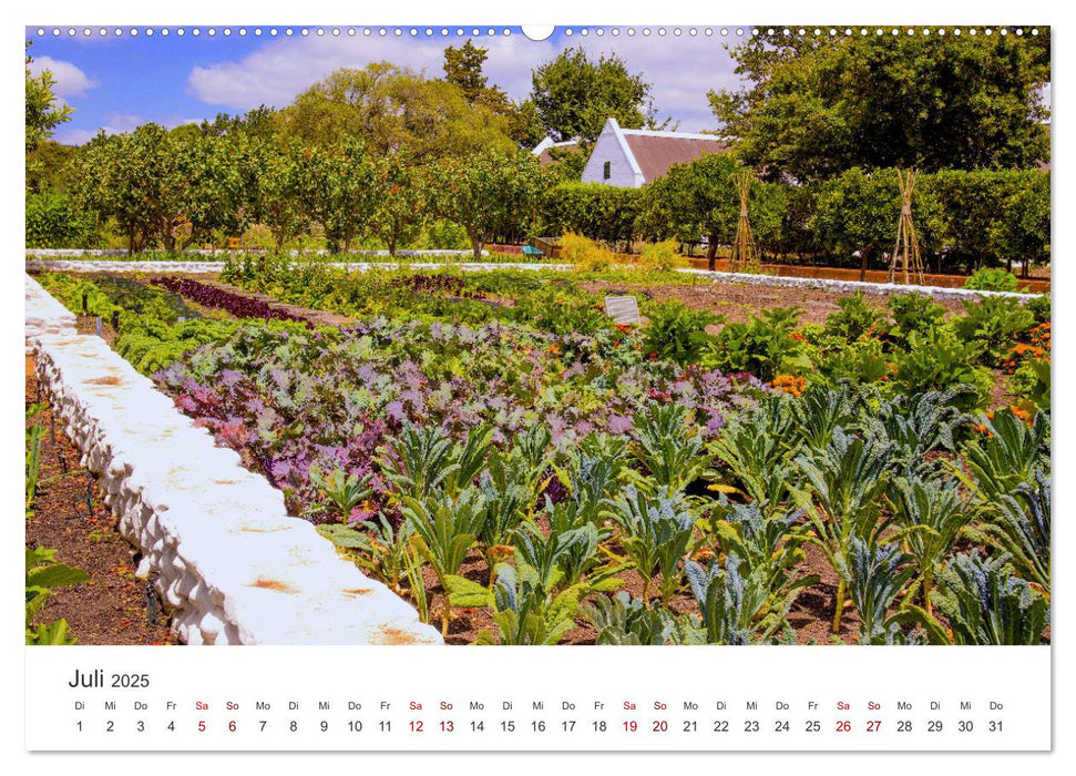 Frisches aus dem Gemüsegarten (CALVENDO Premium Wandkalender 2025)