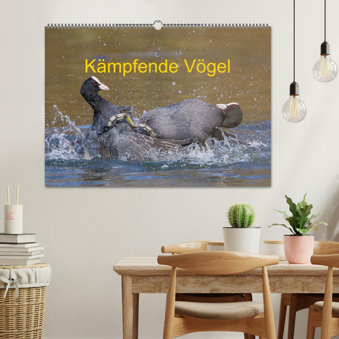 Kämpfende Vögel (CALVENDO Wandkalender 2025)