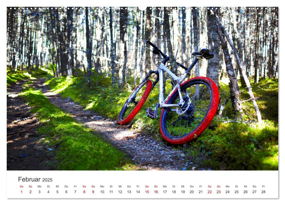 Radsport - Aufregend und aktiv. (CALVENDO Premium Wandkalender 2025)