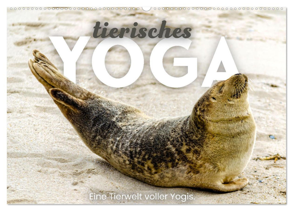 Tierisches Yoga - Eine Tierwelt voller Yogis. (CALVENDO Wandkalender 2025)