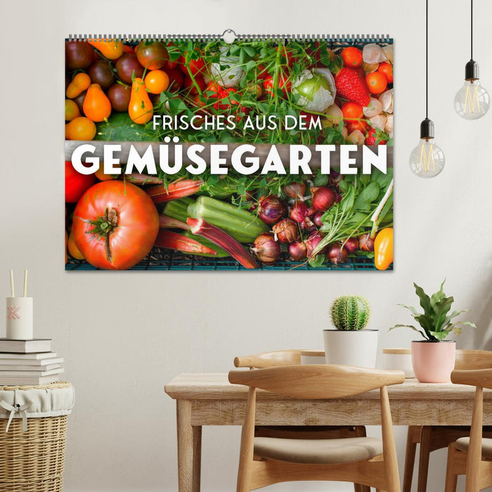 Frisches aus dem Gemüsegarten (CALVENDO Wandkalender 2025)