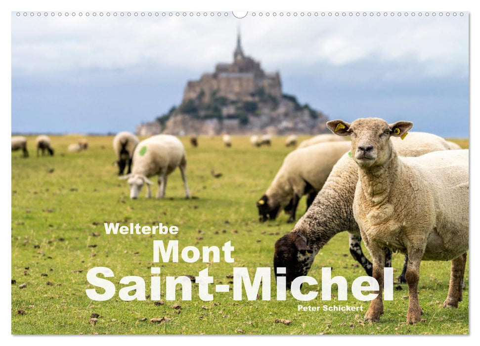 Welterbe Mont-Saint-Michel (CALVENDO Wandkalender 2025)