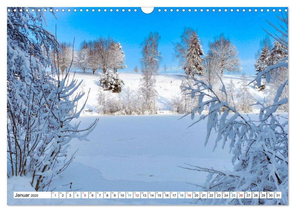 Schwäbische Alb im Blick (CALVENDO Wandkalender 2025)