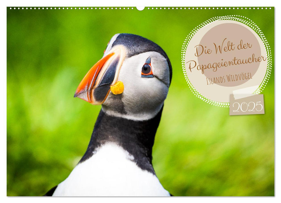 Die Welt der Papageientaucher - Islands Wildvögel (CALVENDO Wandkalender 2025)