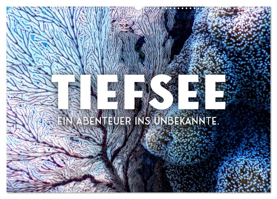 Tiefsee - Ein Abenteuer ins Unbekannte. (CALVENDO Wandkalender 2025)