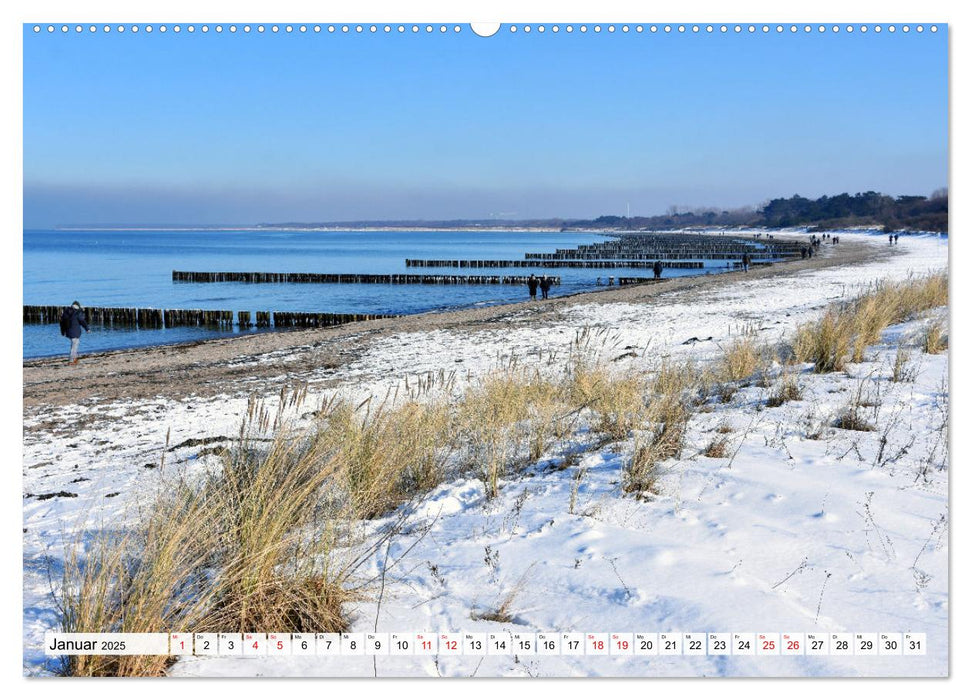 WARNEMÜNDE (CALVENDO Premium Wandkalender 2025)