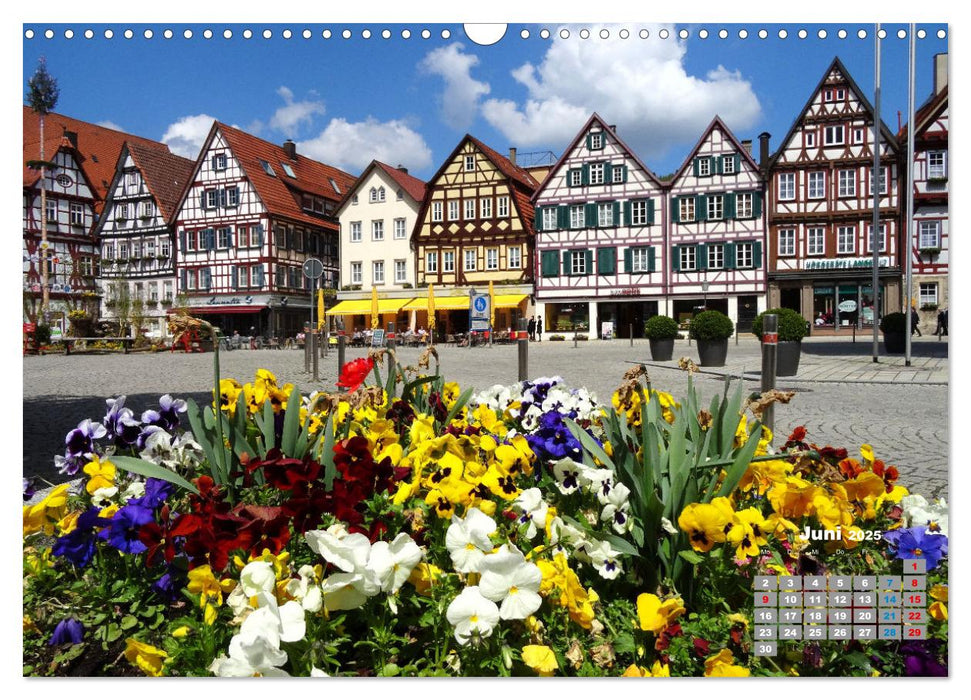 Rund um Reutlingen (CALVENDO Wandkalender 2025)