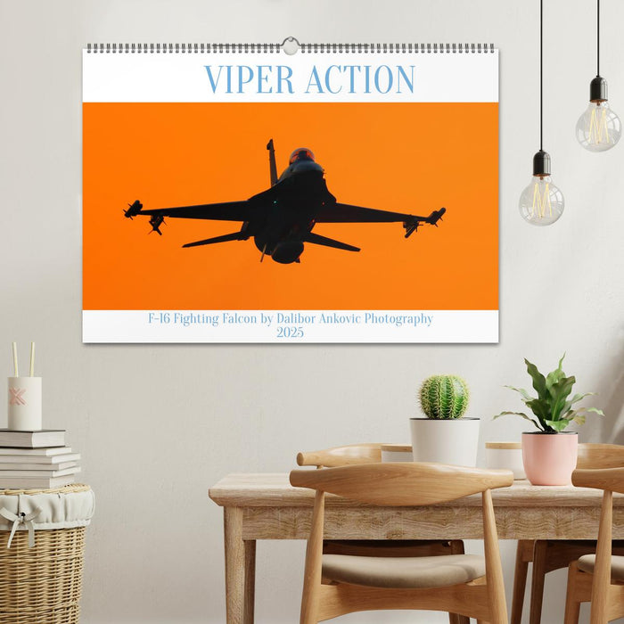 VIPER ACTION - F-16 FIGHTING FALCON (CALVENDO Wandkalender 2025)