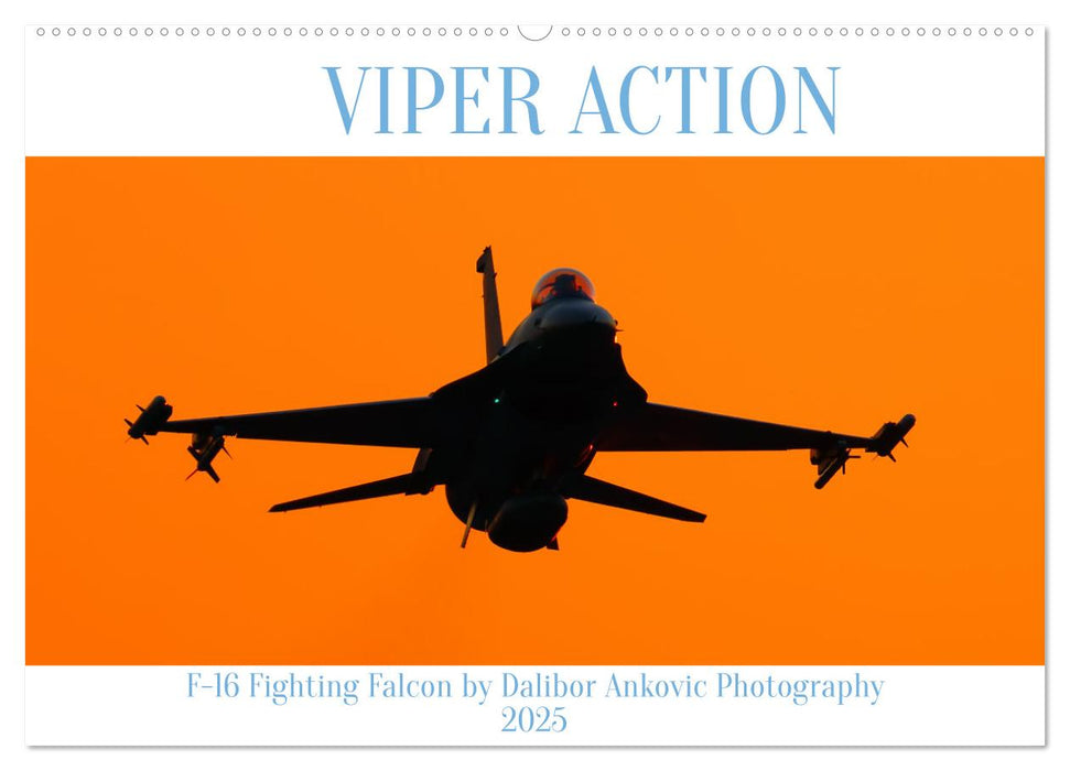 VIPER ACTION - F-16 FIGHTING FALCON (CALVENDO Wandkalender 2025)