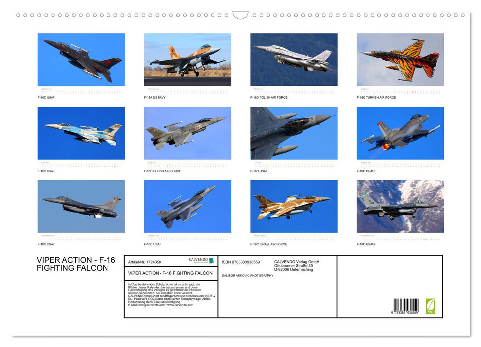 VIPER ACTION - F-16 FIGHTING FALCON (CALVENDO Wandkalender 2025)