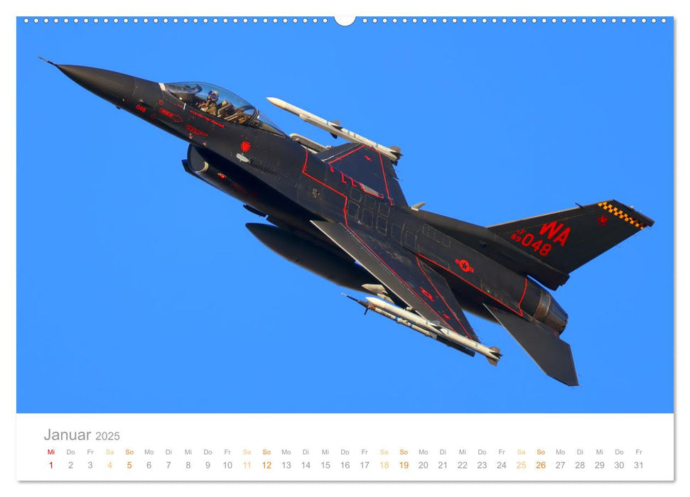 VIPER ACTION - F-16 FIGHTING FALCON (CALVENDO Wandkalender 2025)