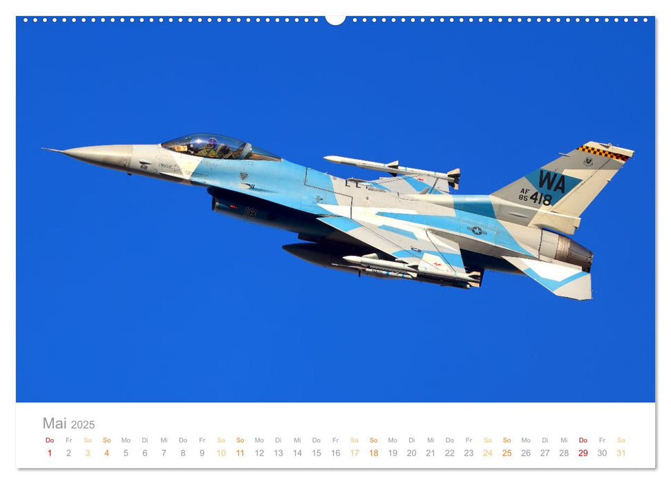 VIPER ACTION - F-16 FIGHTING FALCON (CALVENDO Wandkalender 2025)