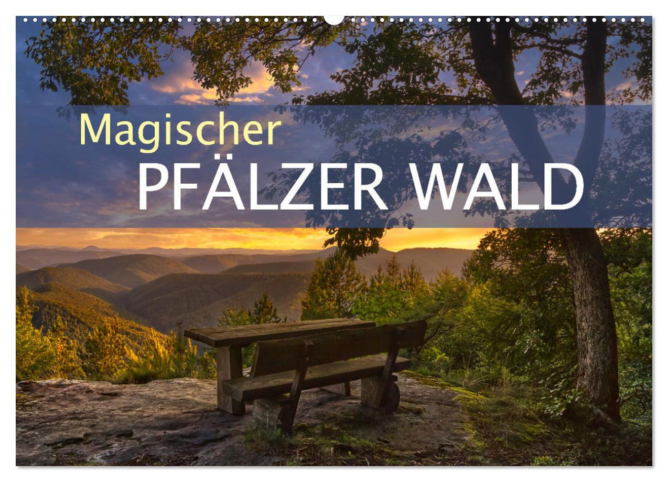 Magischer Pfälzer Wald (CALVENDO Wandkalender 2025)