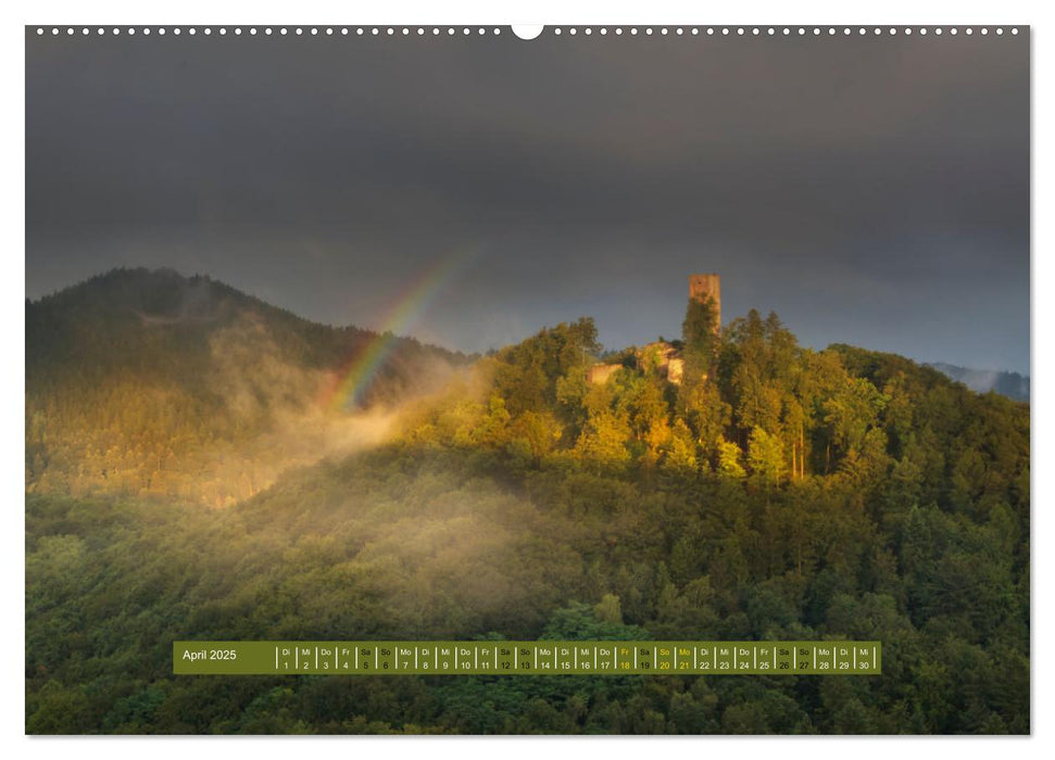 Magischer Pfälzer Wald (CALVENDO Wandkalender 2025)