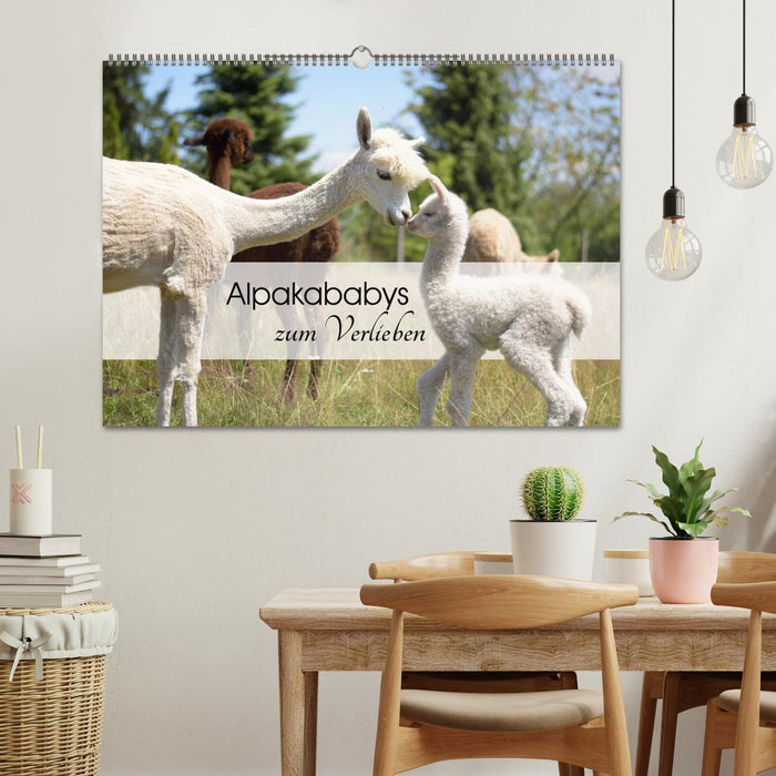 Alpakababys zum Verlieben (CALVENDO Wandkalender 2025)