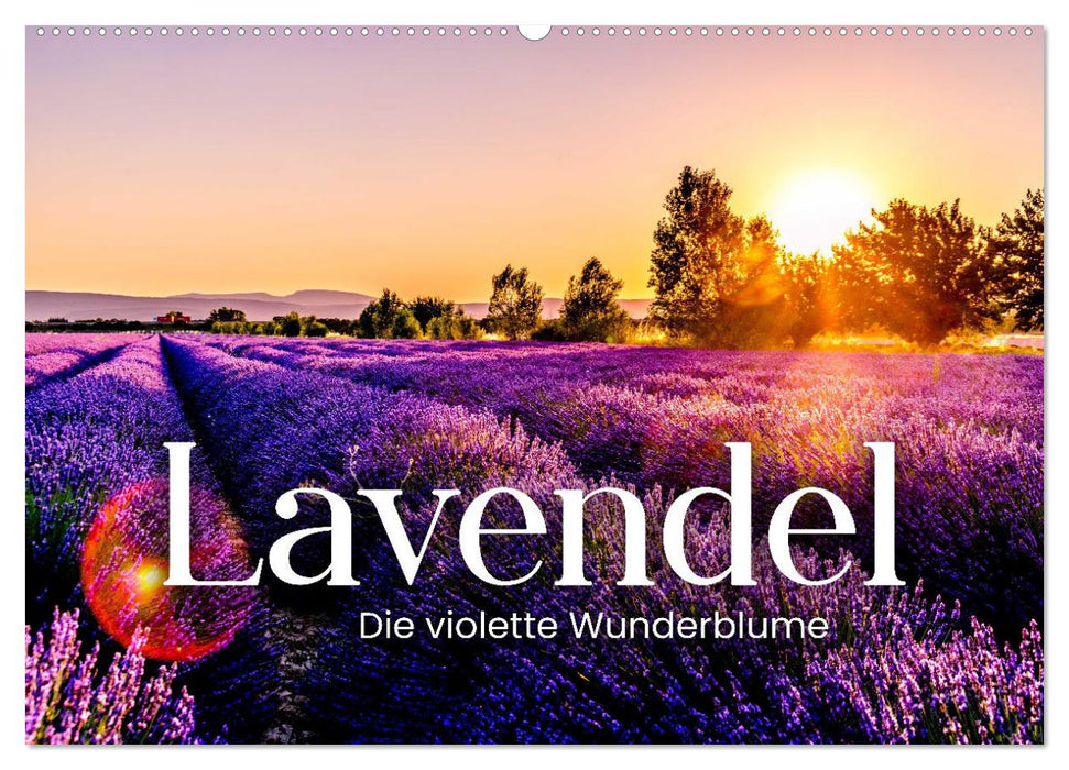 Lavendel - Die violette Wunderblume (CALVENDO Wandkalender 2025)