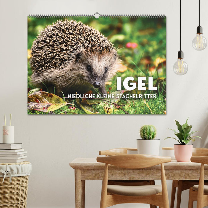 Igel - Niedliche kleine Stachelritter (CALVENDO Wandkalender 2025)