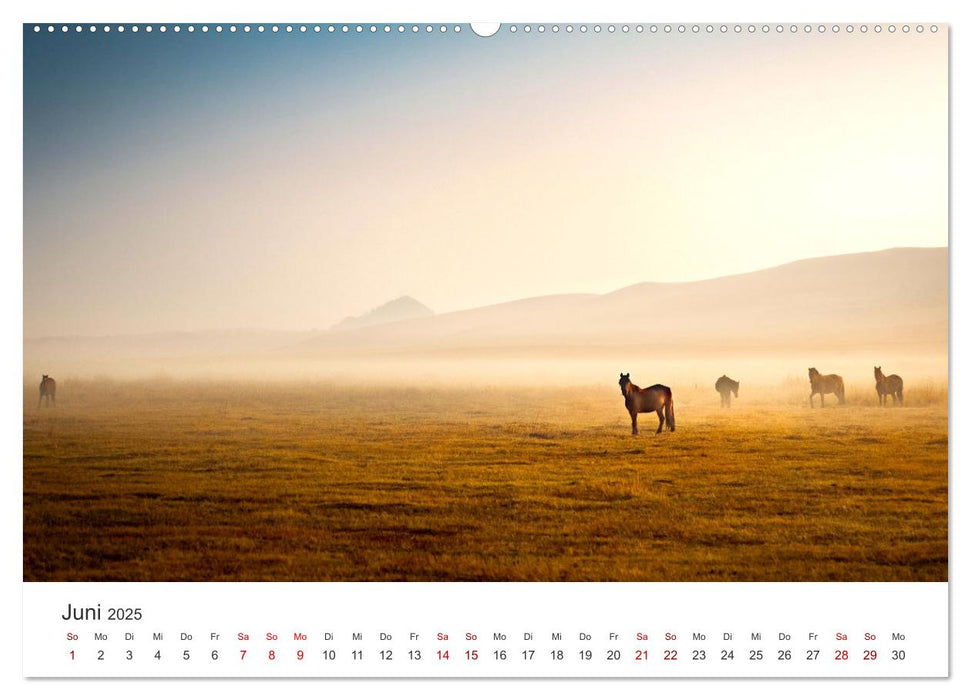 Mystische Nebellandschaften (CALVENDO Premium Wandkalender 2025)