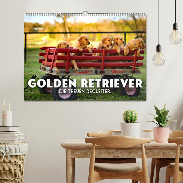 Golden Retriever - Die treuen Begleiter. (CALVENDO Wandkalender 2025)