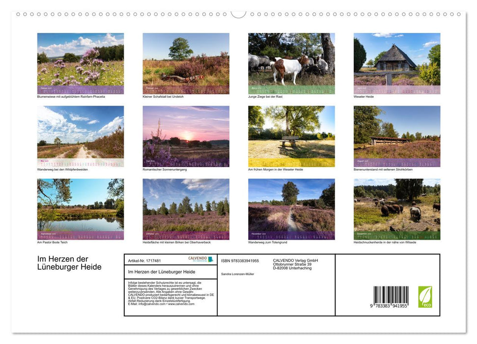 Im Herzen der Lüneburger Heide (CALVENDO Premium Wandkalender 2025)