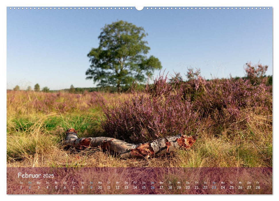 Im Herzen der Lüneburger Heide (CALVENDO Premium Wandkalender 2025)