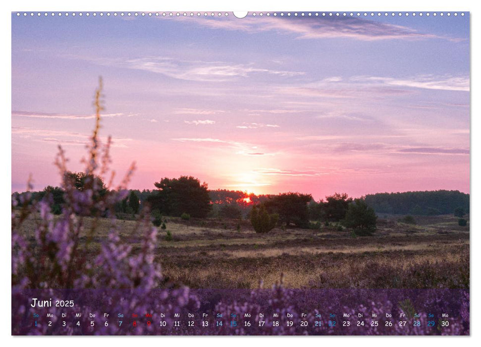 Im Herzen der Lüneburger Heide (CALVENDO Premium Wandkalender 2025)