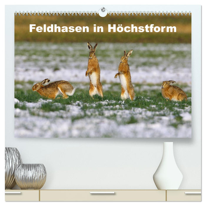 Feldhasen in Höchstform (CALVENDO Premium Wandkalender 2025)