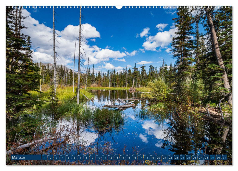 Glacier National Park - Abenteuer in den Rocky Mountains (CALVENDO Premium Wandkalender 2025)