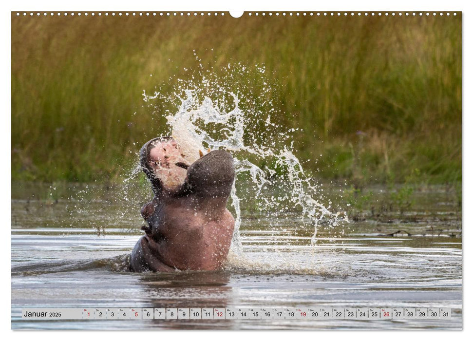 Wildes Okavangodelta (CALVENDO Premium Wandkalender 2025)