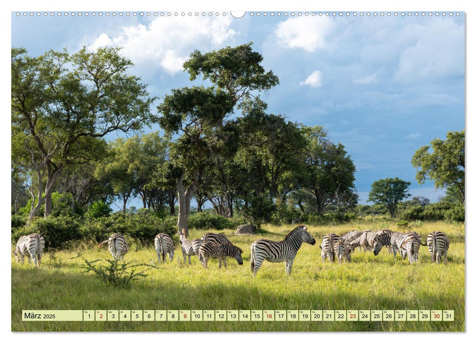 Wildes Okavangodelta (CALVENDO Premium Wandkalender 2025)