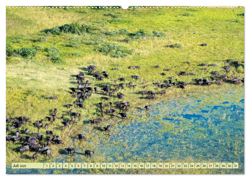 Wildes Okavangodelta (CALVENDO Premium Wandkalender 2025)