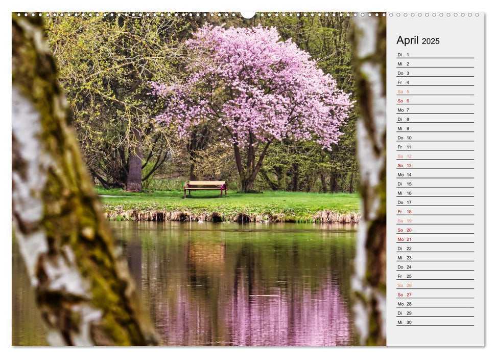 Der Steinertsee (CALVENDO Premium Wandkalender 2025)