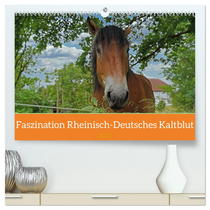 Faszination Rheinisch-Deutsches Kaltblut (CALVENDO Premium Wandkalender 2025)