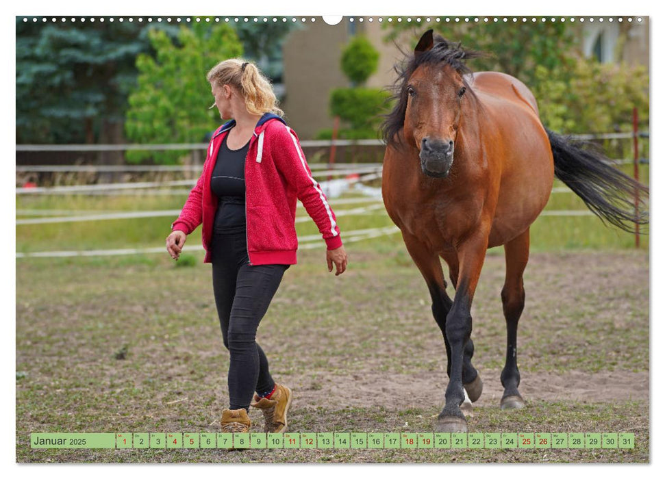 Faszination Trakehner (CALVENDO Premium Wandkalender 2025)