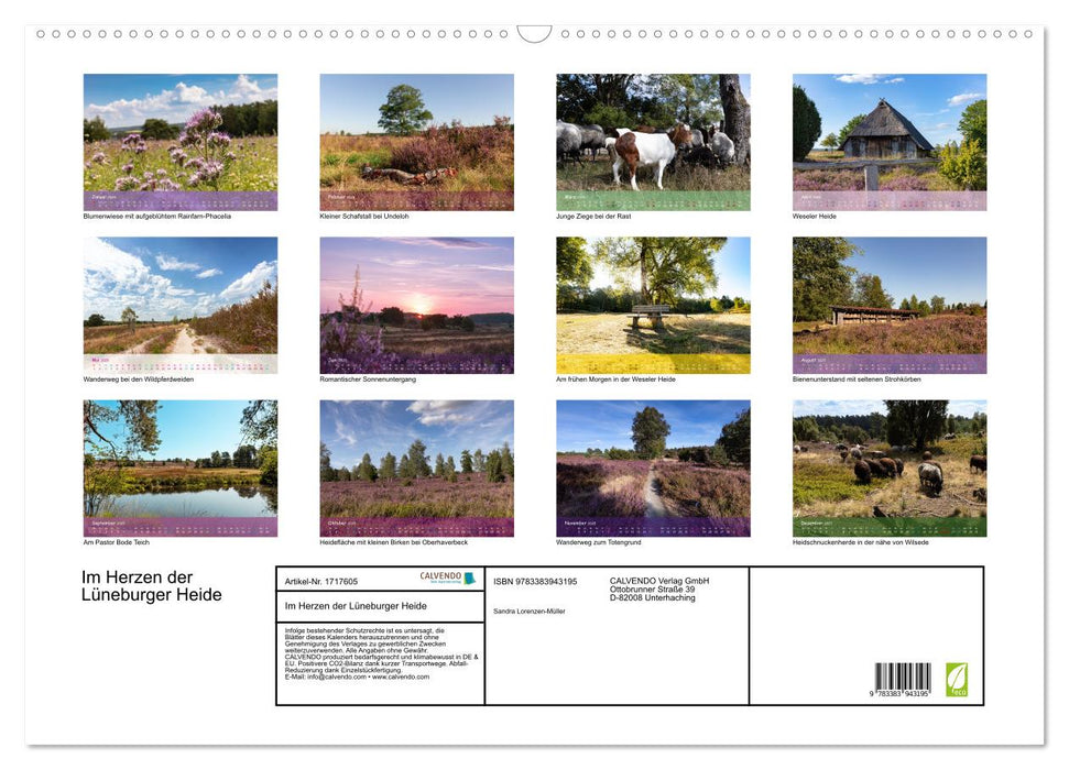 Im Herzen der Lüneburger Heide (CALVENDO Wandkalender 2025)