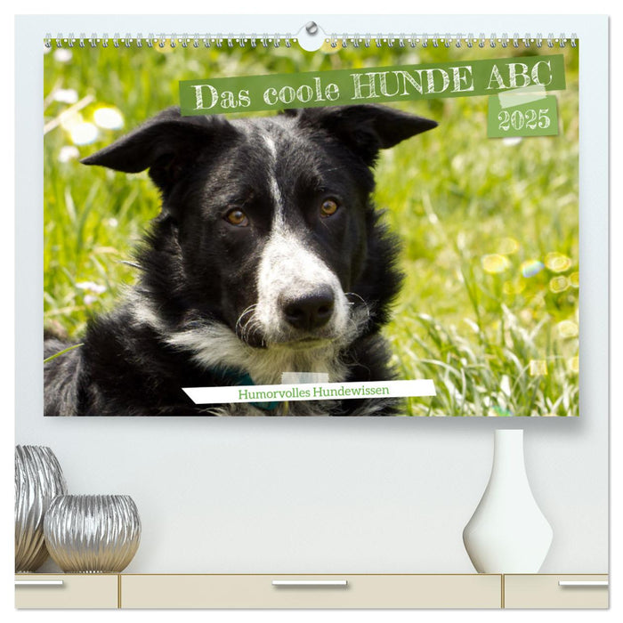 Das coole Hunde ABC (CALVENDO Premium Wandkalender 2025)