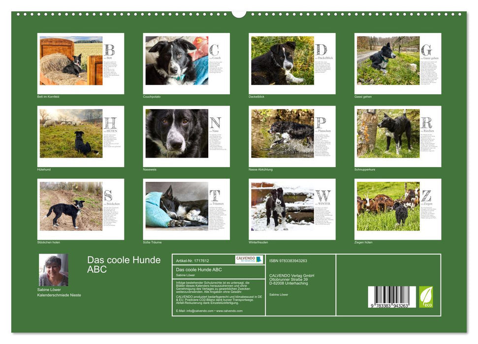 Das coole Hunde ABC (CALVENDO Premium Wandkalender 2025)