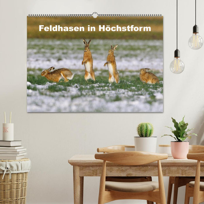 Feldhasen in Höchstform (CALVENDO Wandkalender 2025)