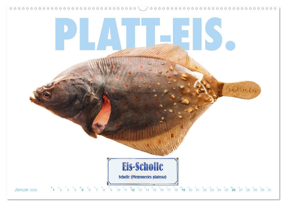 FiSH! · Der ultimative Küchenkalender (CALVENDO Premium Wandkalender 2025)