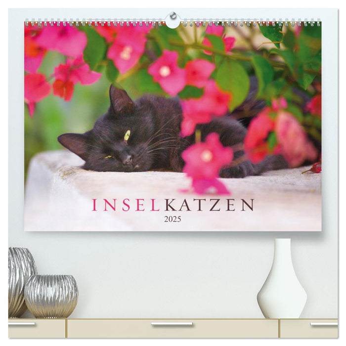 Inselkatzen (CALVENDO Premium Wandkalender 2025)