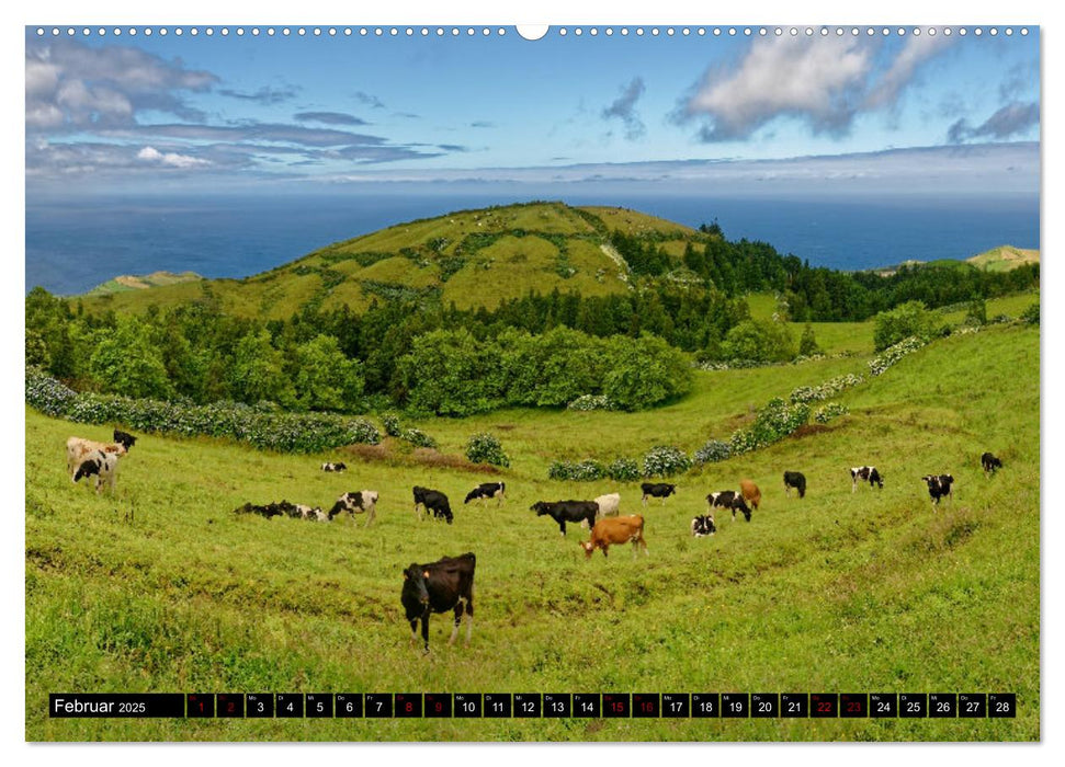 Sao Miguel Azoren - Vulkanisch geprägte Trauminsel im Atlantik (CALVENDO Premium Wandkalender 2025)