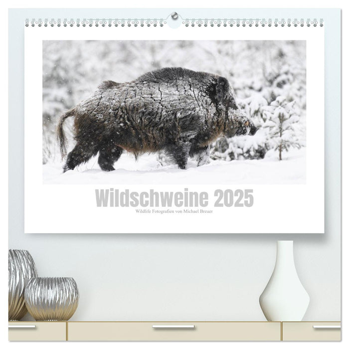 Wildschweine – Wildlife Fotografien (CALVENDO Premium Wandkalender 2025)