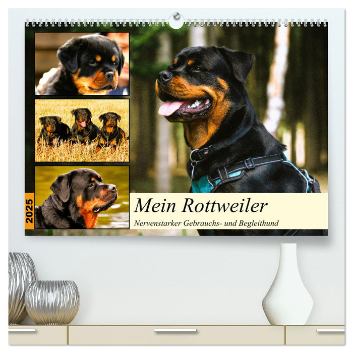 Mein Rottweiler. Nervenstarker Gebrauchs- und Begleithund (CALVENDO Premium Wandkalender 2025)