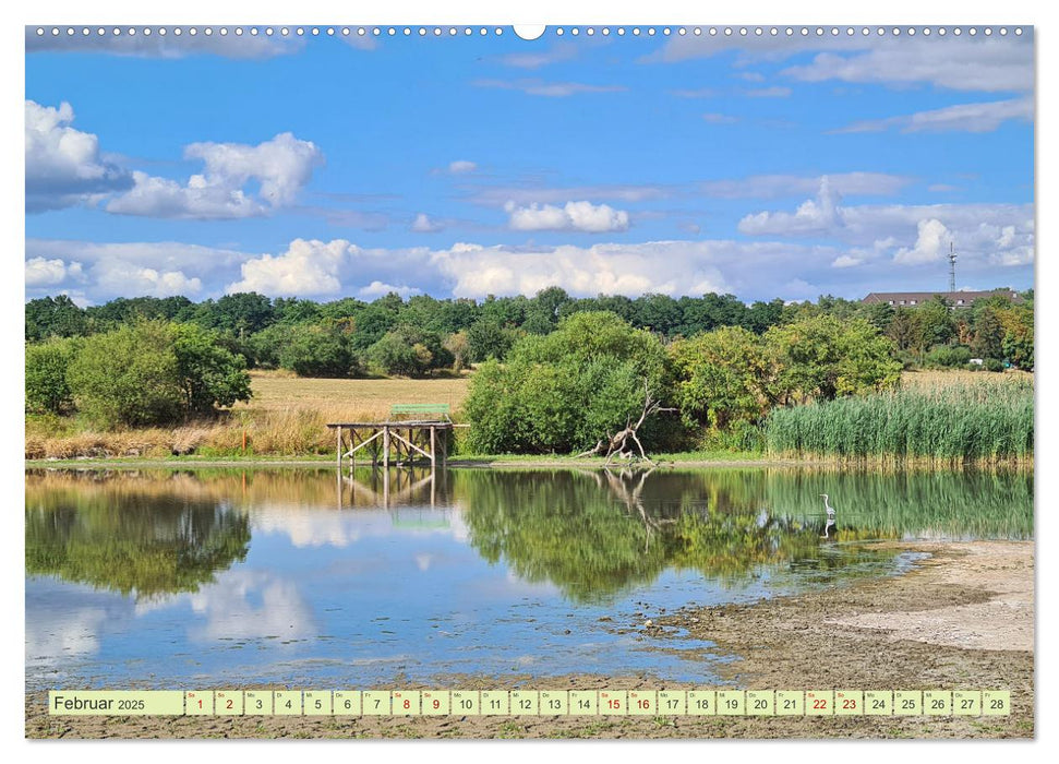 Burg bei Magdeburg (CALVENDO Premium Wandkalender 2025)