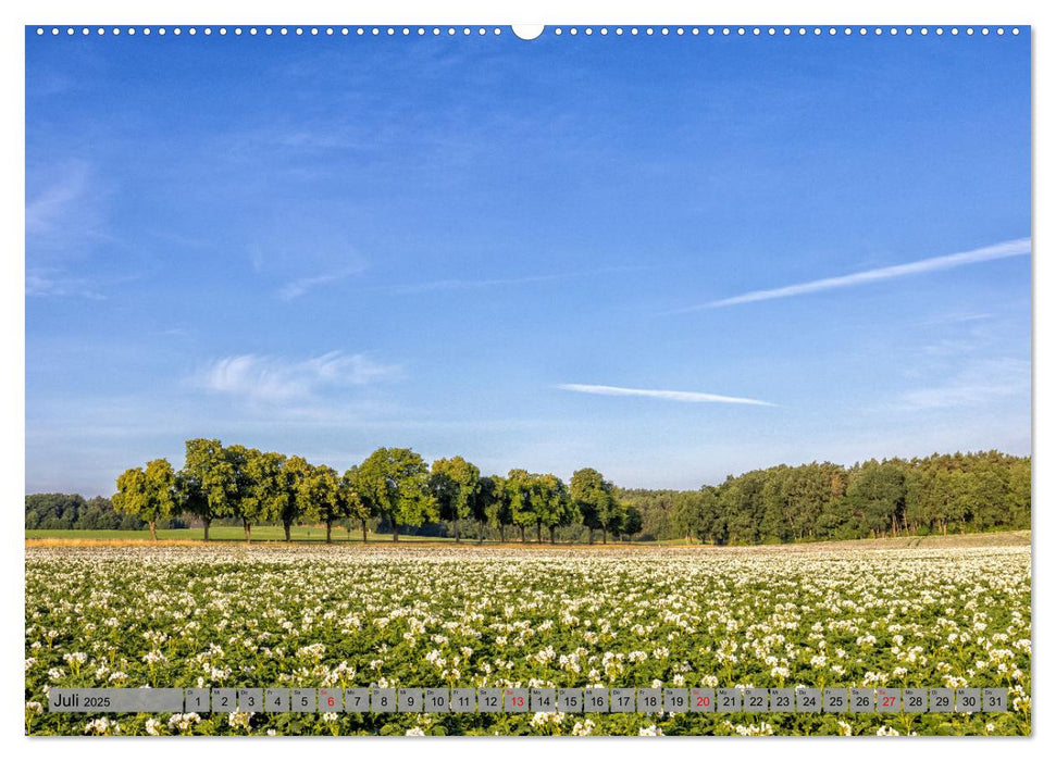 Erlebnis Wendland (CALVENDO Premium Wandkalender 2025)