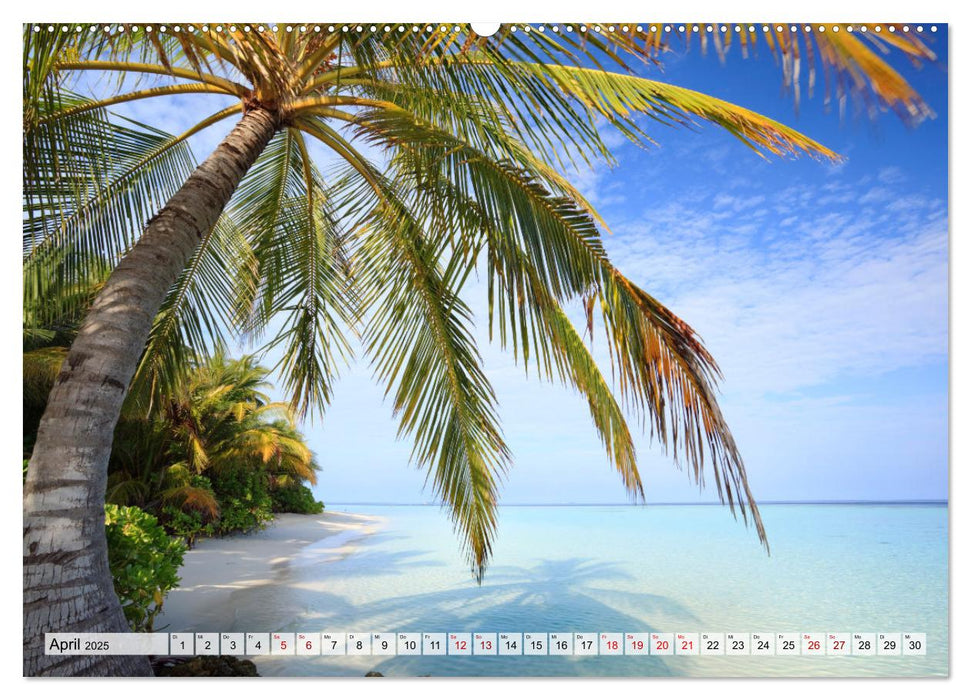 Malediven - Reise in ein Naturparadies (CALVENDO Premium Wandkalender 2025)